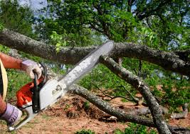 Trusted New Carlisle, OH Tree Removal and Landscaping Services Experts